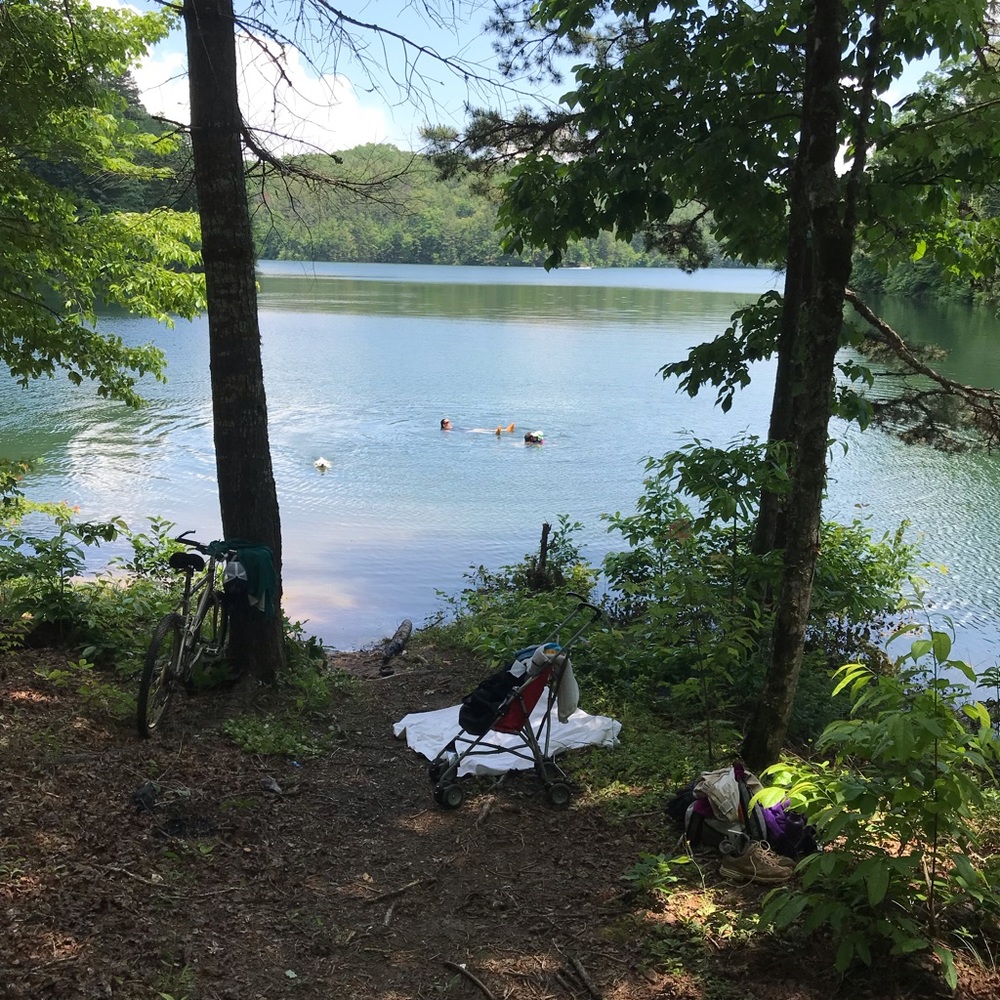 National Forest...My Neighbor